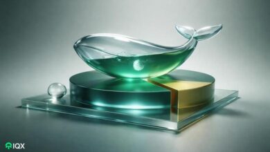 70 percent ether positions long whale accumulation eth tightens supply