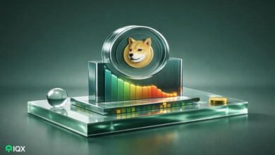 dogecoin price breakdown onchain test