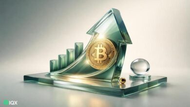 bitcoin market fundamentals strong strategy ceo phong le