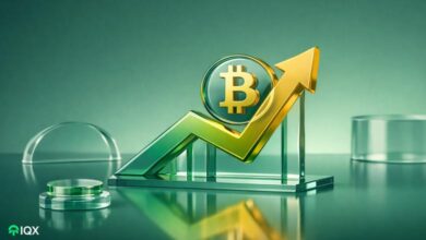 bitcoin price relief rally before new years