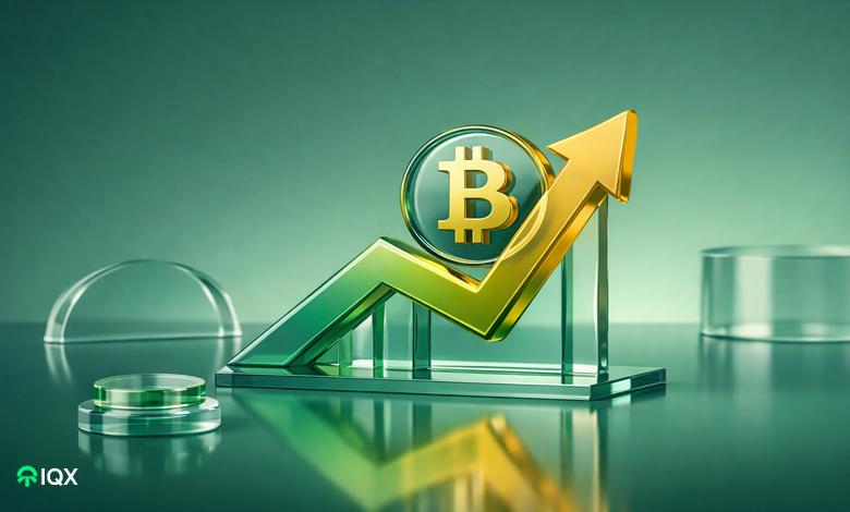 bitcoin price relief rally before new years