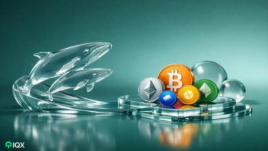 giant whales start the new week with strong buying they chose bitcoin btc ethereum eth and 4 altcoin