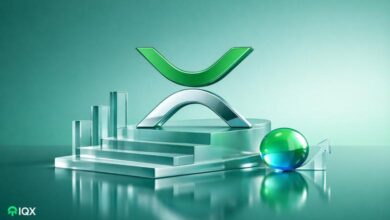 unprecedented success for xrp became the most traded altcoin in 2025