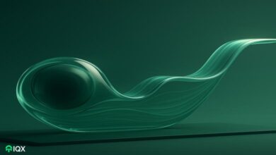 cardano midnight token price all time high