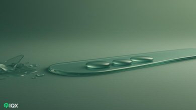altcoins in final stage of the bear market