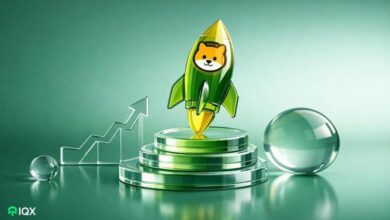 meme coin market surges 2026