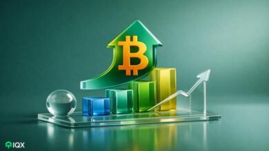 bitcoin price surpasses 94 000 what are the latest data what should we expect next here s what you n