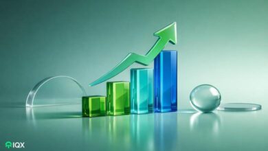 altcoins all time highs in january first week