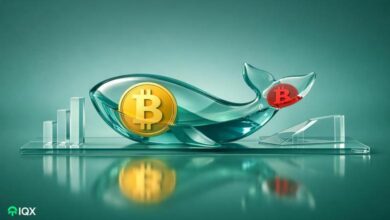 what are the big whales doing as bitcoin surges are they accumulating or selling here are the latest