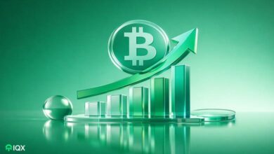 bitcoin price rise after spot etf inflows