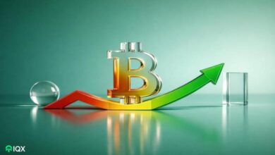 according to the analysis company bitcoin price may have bottomed out in november what will happen n