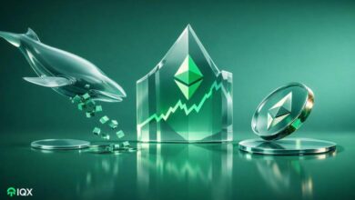 ethereum whale selling affect eth price rally