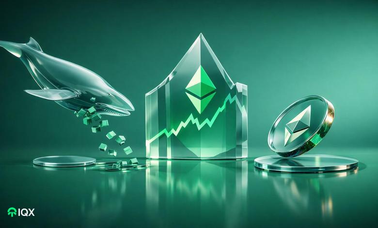 ethereum whale selling affect eth price rally