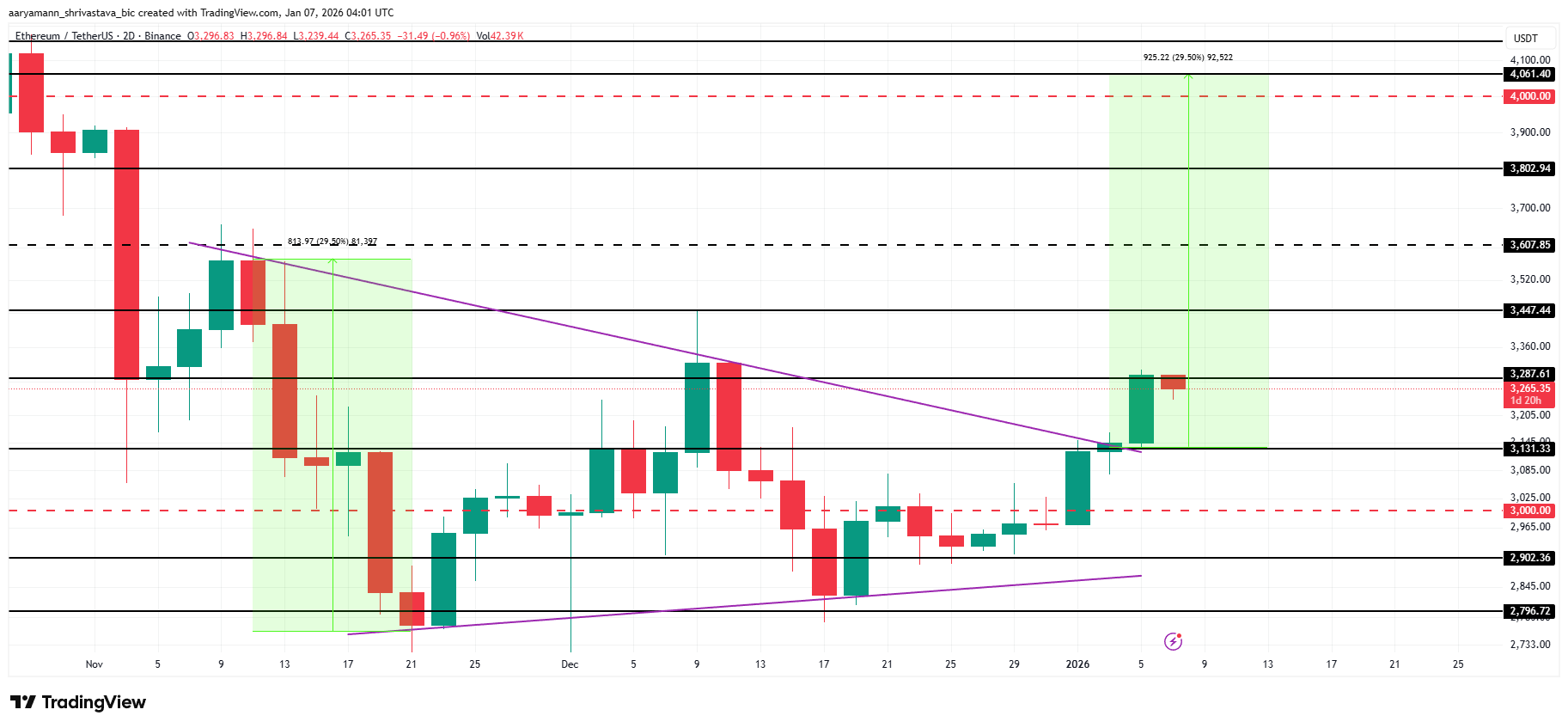 Ethereum Whale Holding. 