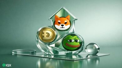 meme coins to watch january end