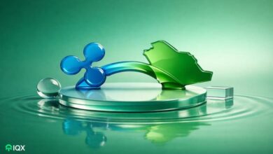 ripple launches saudi arabia initiative announces partnership