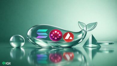 altcoins crypto whales are buying for february 2026