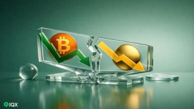 is bitcoin versus gold chart completely broken