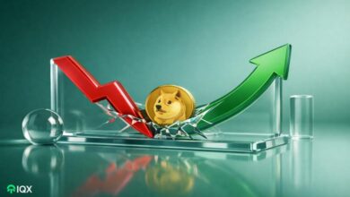 dogecoin profits crash but may rally