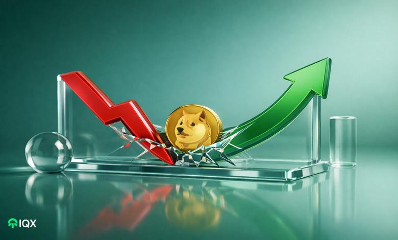 dogecoin profits crash but may rally