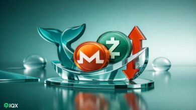 privacy coins crypto whales buying and selling february 2026