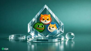 meme coins to watch february 2026