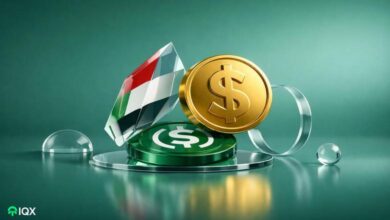uae first central bank registered usd stablecoin launches