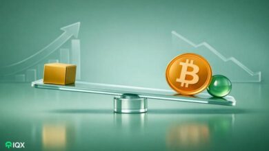 expert economist shares the real reason bitcoin lags behind gold