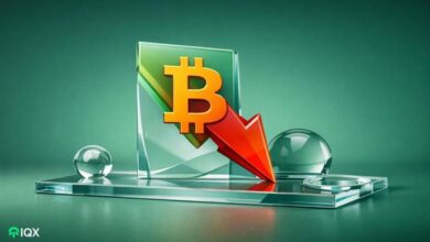 hot moments bitcoin price falls below 80 000 for the first time since april here s the latest situat