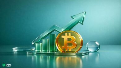 experienced analyst makes bold claim if this happens bitcoin will see a rally
