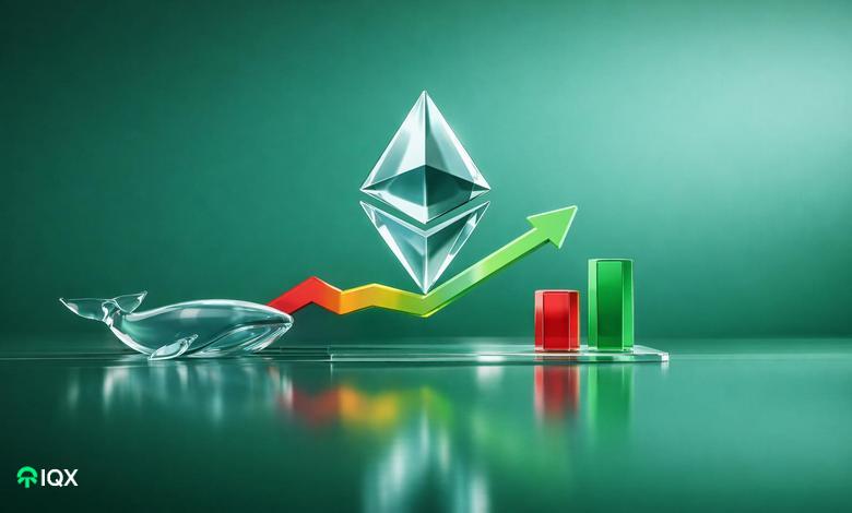 ethereum price recovery uncertainty whale analysis