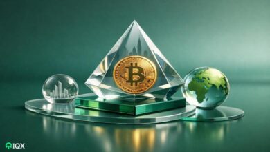 abu dhabi sovereign wealth funds explain reasons for investing in bitcoin a store of value similar t