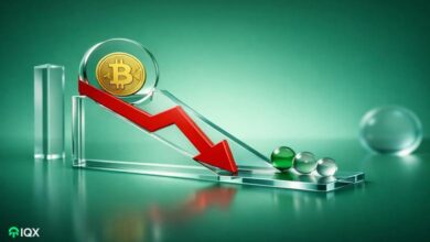 24 year technical analyst issues warning for bitcoin smart money is exiting individual investors are