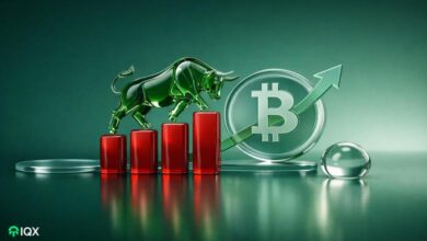 bitcoin bull market confirmed over btc price 4 red monthly candle