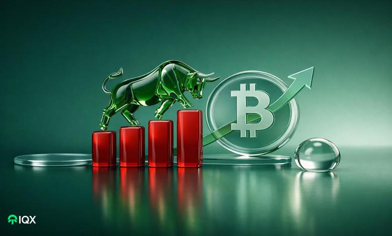 bitcoin bull market confirmed over btc price 4 red monthly candle