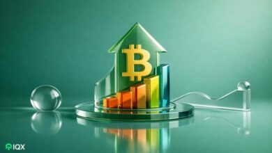 can bitcoin recover what s the latest situation on the network here are the data and what is to know