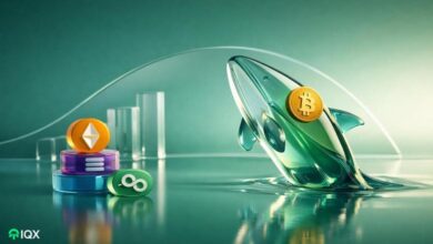 crypto whales buying altcoins after trump tariff ban