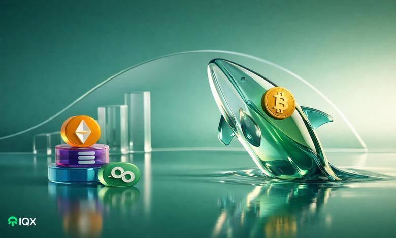 crypto whales buying altcoins after trump tariff ban