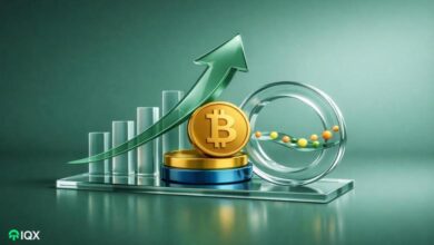 are bitcoin etfs quietly accumulating or just not selling the flow data that matters