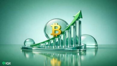bitcoin large wallet holders growing bullish santiment