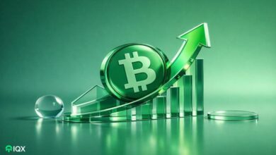 bitcoin cash bch price rally