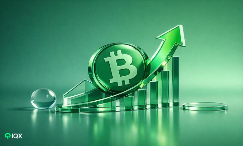 bitcoin cash bch price rally