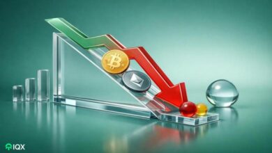 why did bitcoin and altcoin prices fall the reasons behind the sharp decline are here