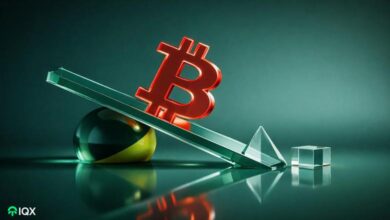 bitcoin is experiencing its most brutal drop allegedly there may be hidden reasons behind the declin
