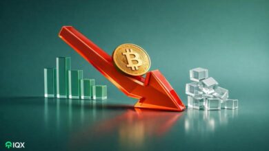 what caused bitcoin to fall so much expert economist lists 15 reasons