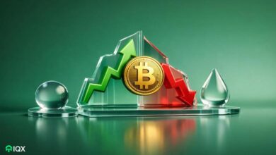 will bitcoin price recover or will it fall further chinese analysis company issues warning for this