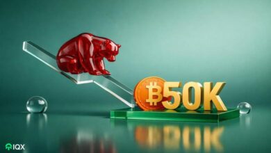 bitcoin bear market not over trader btc price real bottom 50k