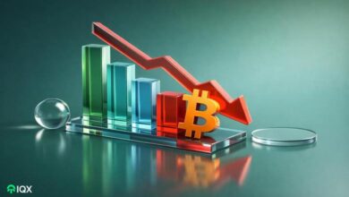 analytics company ceo explains why bitcoin price dropped could there be major crashes like the old b