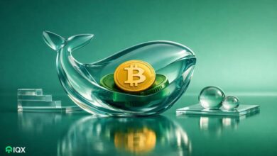 bitcoin whales took advantage 60k price dip scooping 40k btc