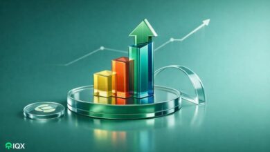 altcoins all time highs february second week